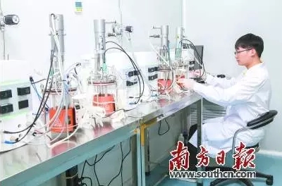 ^(q)a(chn)I(y)(chung)(chung)I(y)